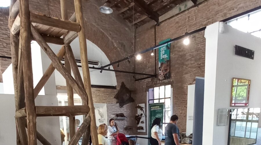 ¡Te invitamos a descubrir la historia y el encanto de Lobos!